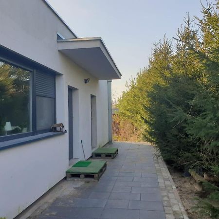 Maly Apartament W Zieleni Blisko Jeziora Środa Wielkopolska Kültér fotó